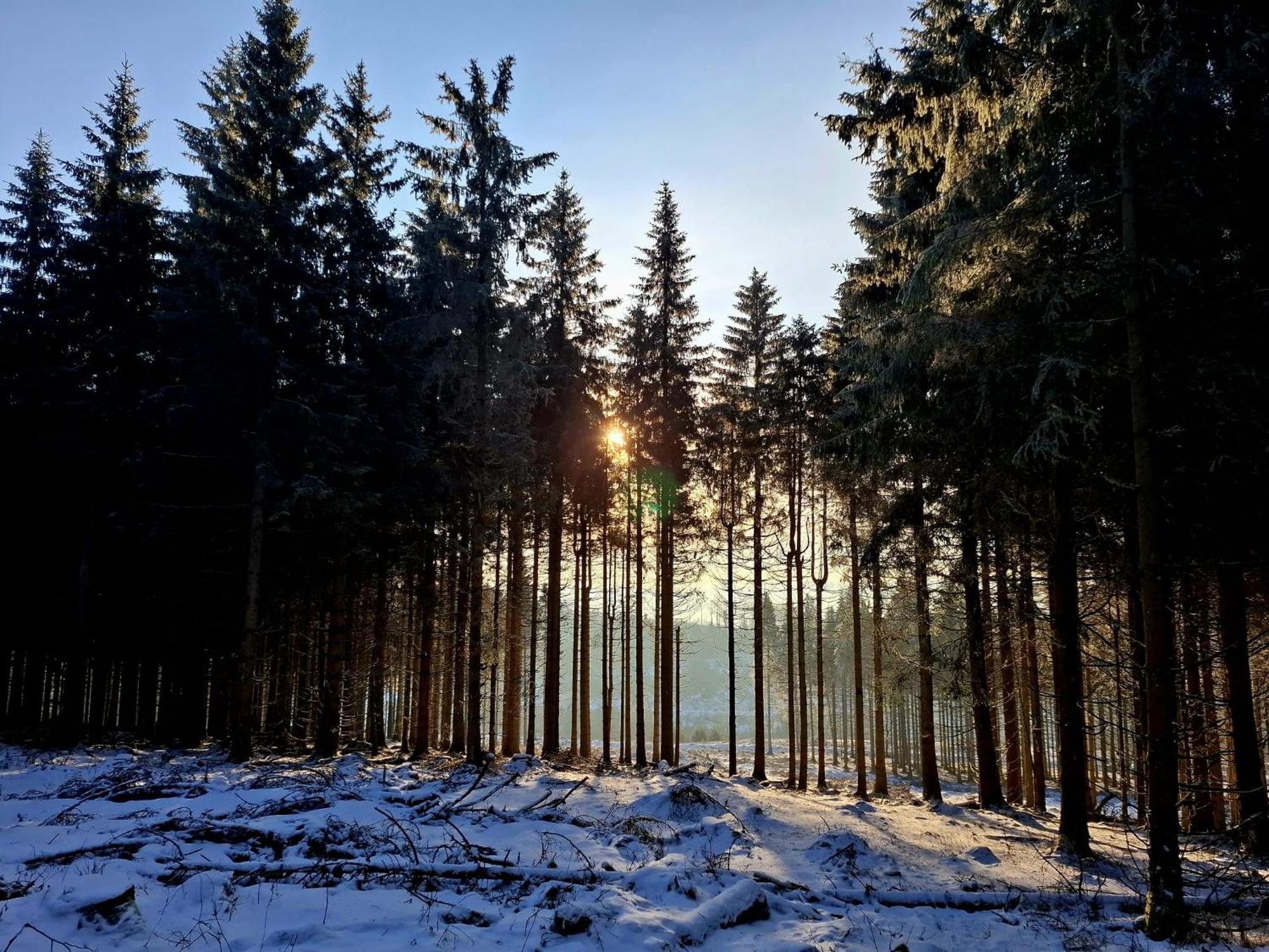 Haus Astenberg Winterberg Dış mekan fotoğraf